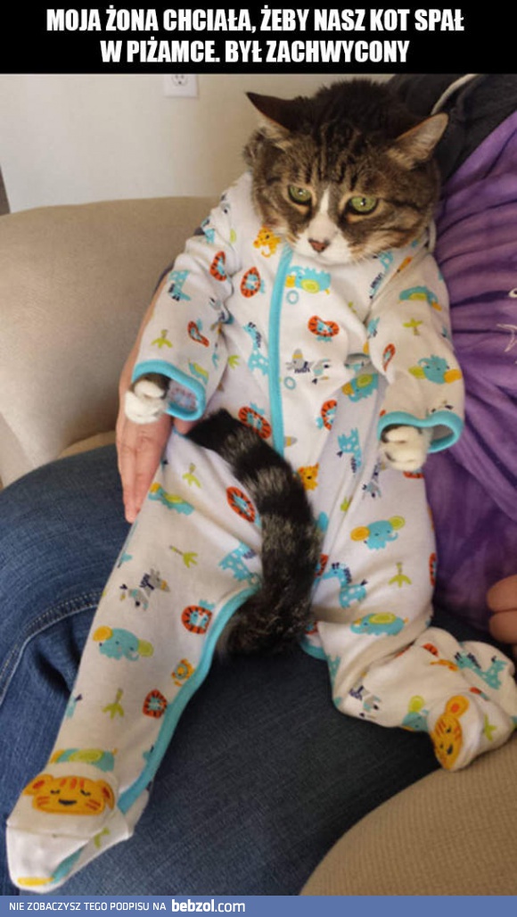 Kot w piżamce