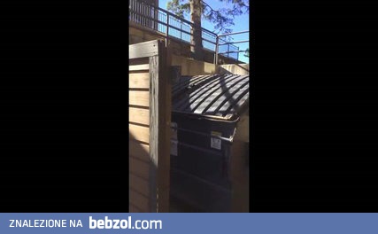 Niespodzianka w wiacie śmietnikowej.