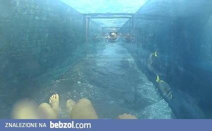 Ekstremalne zjeżdżalnie (Tylko dla ludzi o mocnych nerwach)