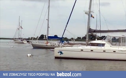 Ratowanie wycieńczonego młodego szopa 