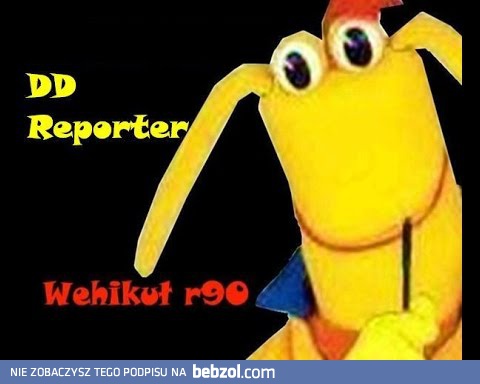 DD Reporter |Wehikuł r90