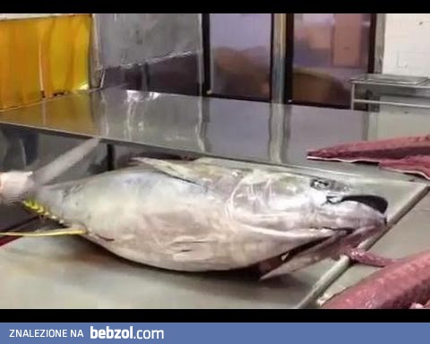 Filetowanie tuńczyka