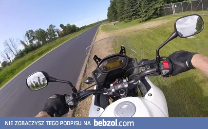 Dobre człowieki ratują żółwia przed rozjechaniem na drodze