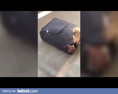 Imigrant próbuje dostać sie do Szwajcarii