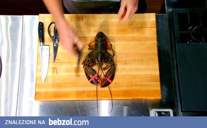 Gordon Ramsay pokazuje jak przyrządzić homara