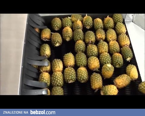 Jak robią sok ananasowy