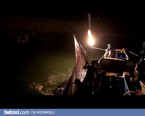 Z miotaczem ognia na ryby