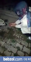 Spragnionych napoić... pies dziękujący za okazaną pomoc