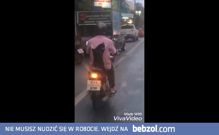 Kot na przejażdżce, na skuterze 