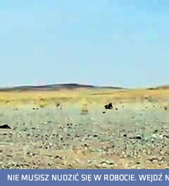 Tak gorąco jest w Arabii Saudyjskiej