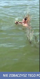 Mężczyzna wyławia jelonka próbującego pokonać jezioro