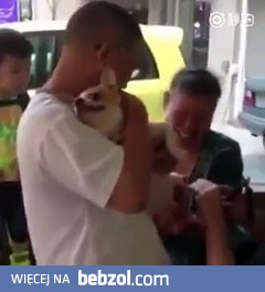 Reakcja psa na pedicure