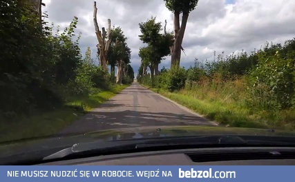 Zabiegi pielęgnacyjne zabiły stuletnie klony