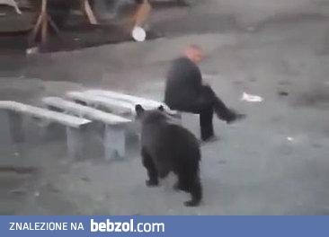 Rosjanin nie przejmuje się niedźwiedziem i zachowuje zimną krew