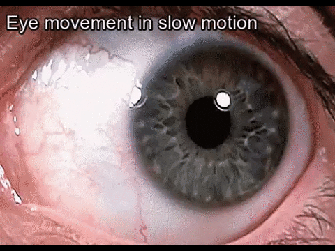 Ruch oka w zwolnionym tempie
