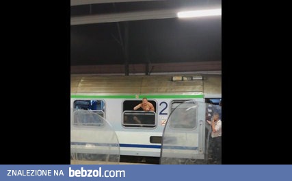 Chorzowskie bydło w wagonach prowokuje policje