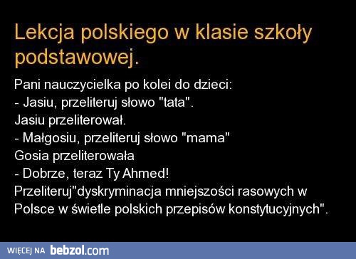 Lekcja polskiego 