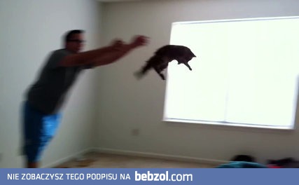 Pan każe, sługa musi, czyli kot lubiący być rzucanym na łóżko 