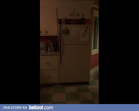 Niespodzianka w lodówce