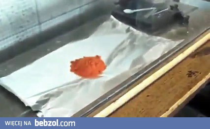 Najdziwniejsza reakcja chemiczna jaką widziałeś