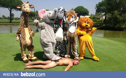 REMI GAILLARD - 'SAFARI'