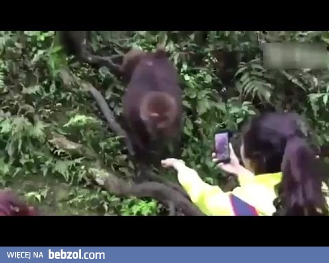 Patrzcie jakie słodkie małpki
