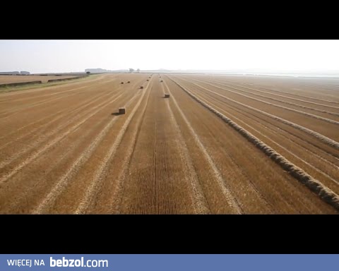 Bele słomy wożę tak