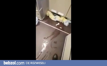 lot Arabia Saudyjska - Europa