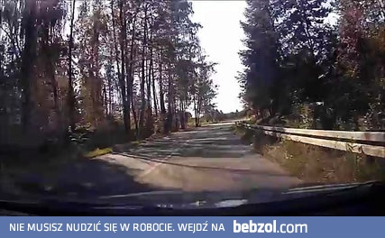 Szeryf drogowy level troll