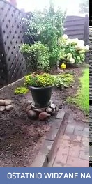 Tymczasem w niemieckim ogródku