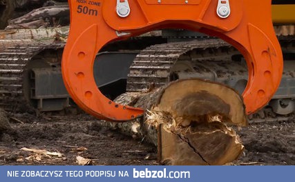 Dziadek do orzechów w wersji dla drzew