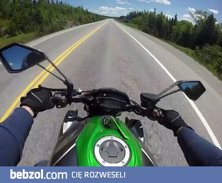 Reakcja motocyklisty na ominięcie przeszkody w postaci łosia 