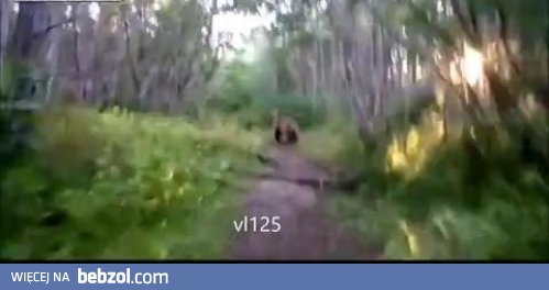 Rosyjska wersja gry Pokemon Go