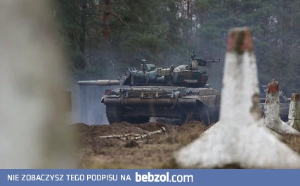 Polish Army In Action