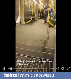 Berlin: Imigrant wzbogacił kulturowo pociąg... kałem i moczem.