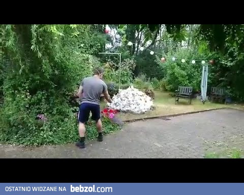 Eksplozja radości w ogrodzie