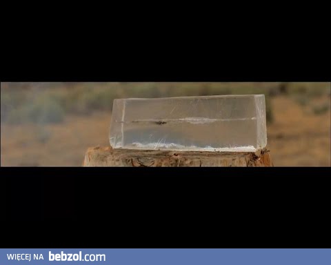 Magnum vs. żel balistyczny