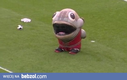 Ciekawy popis maskotki Derby County