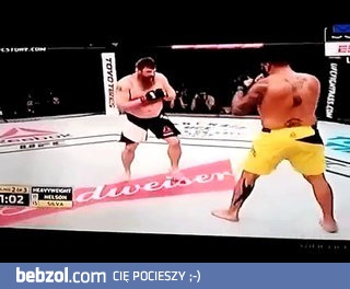 Roy Nelson nokautuje Antonio 