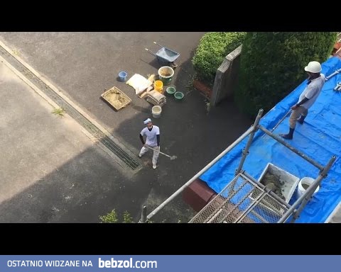 Mistrzowie w swojej dziedzinie