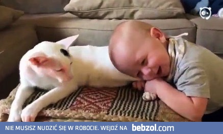 Nie byli pewni, w jaki sposób kot zareaguje na ich dziecko