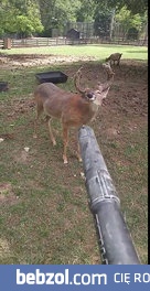 Kiedy w upalne dni pragniesz chłodu