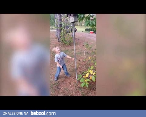 Zabójcza budka dla ptaków