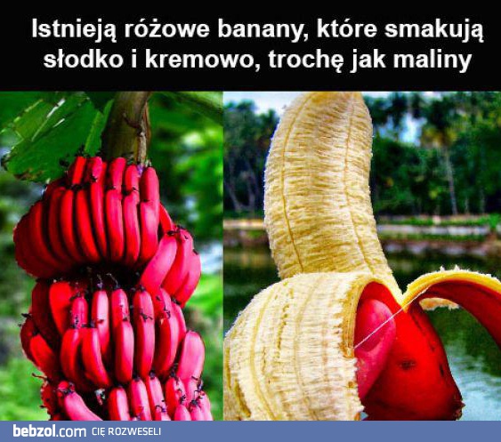 Różowe banany