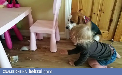 Winny pies i reakcja dziecka na jego 