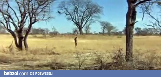 Co zrobić żeby małpa zaprowadziła Cię do wodopoju?