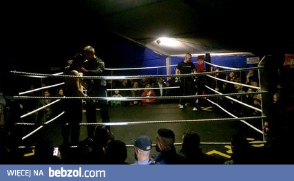 Wątróbka po turecku