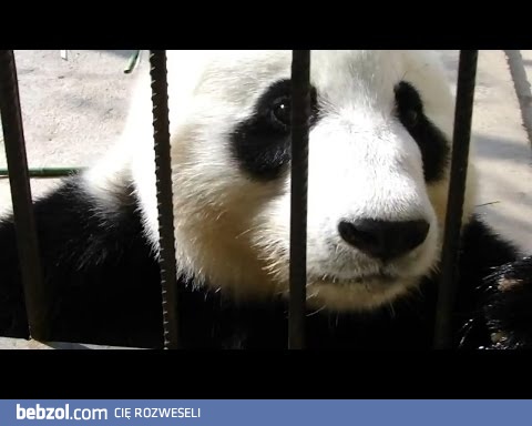 Nie ma takiego filmowania!