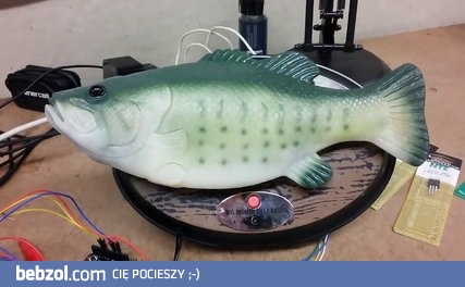 Mój stary to fanatyk wędkarstwa i sztucznej inteligencji