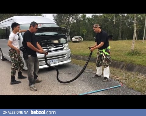 Wąż pod maską samochodu